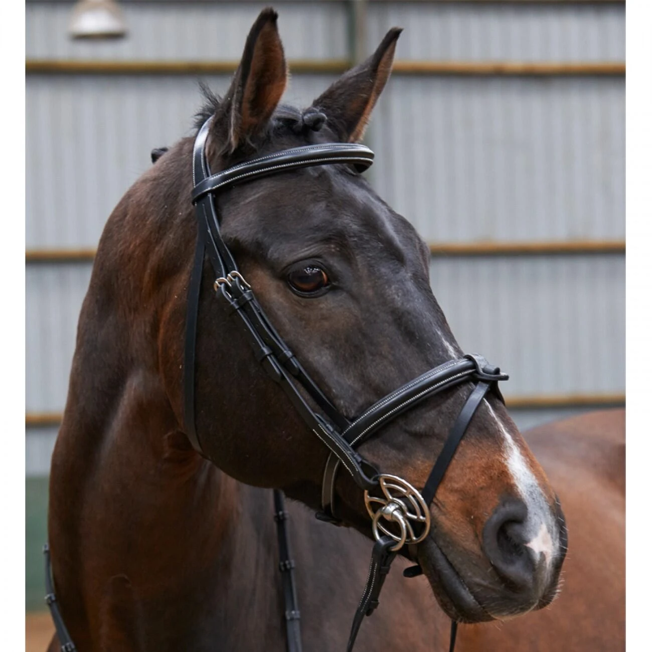 EASTWOOD RAISED FLASH BRIDLE WITH REINS