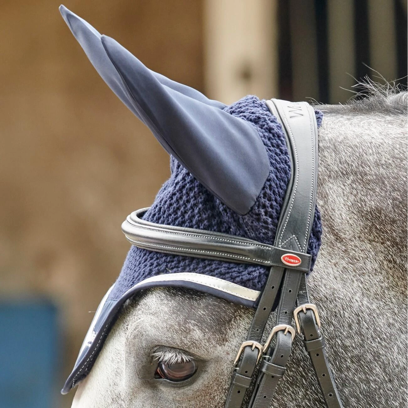 EASTWOOD CRANK BRIDLE INCLUDING REINS - Image 4