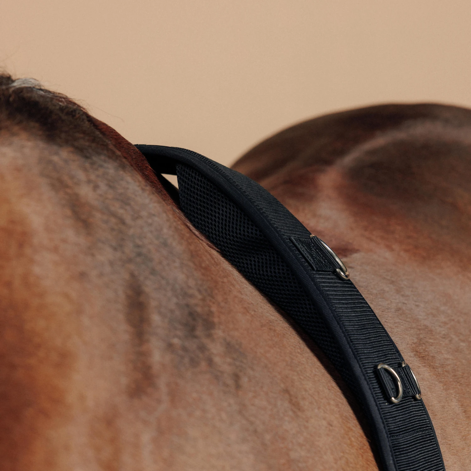 Horse Riding Horse Or Pony Lunging Roller - Image 6