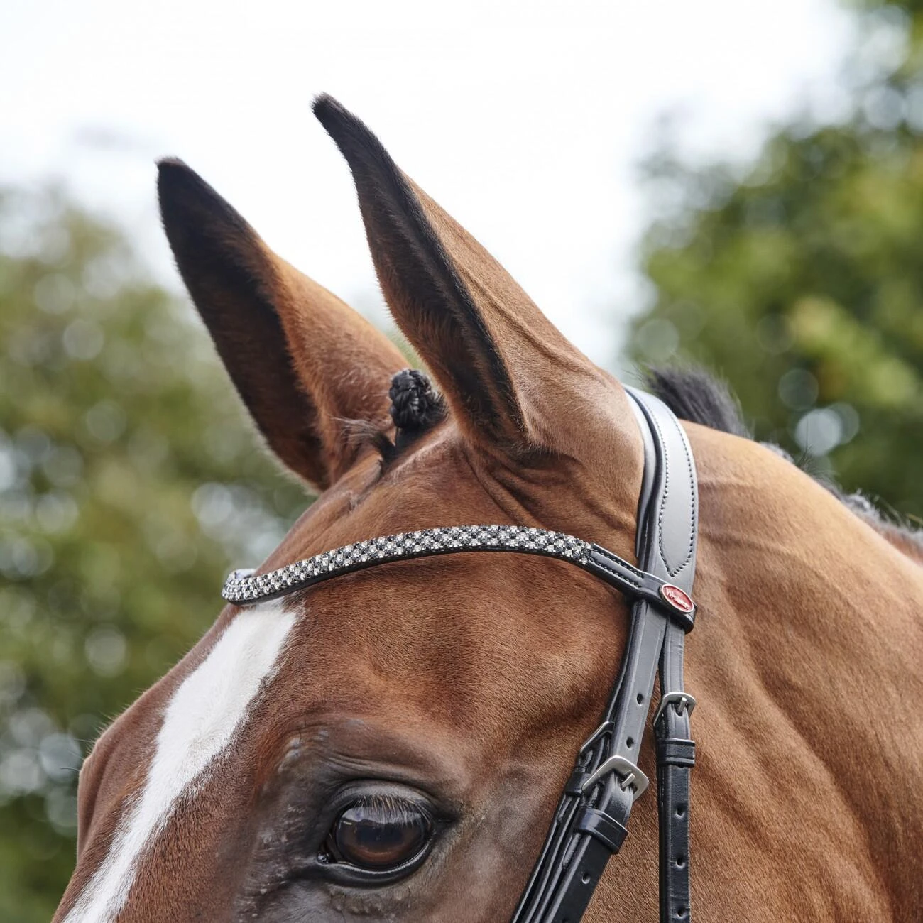 Barton Bling Flash Bridle With Rubber Reins - Image 3