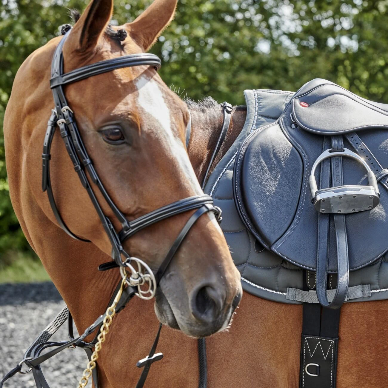 Barton Raised Flash Bridle Includes Rubber Reins - Image 4