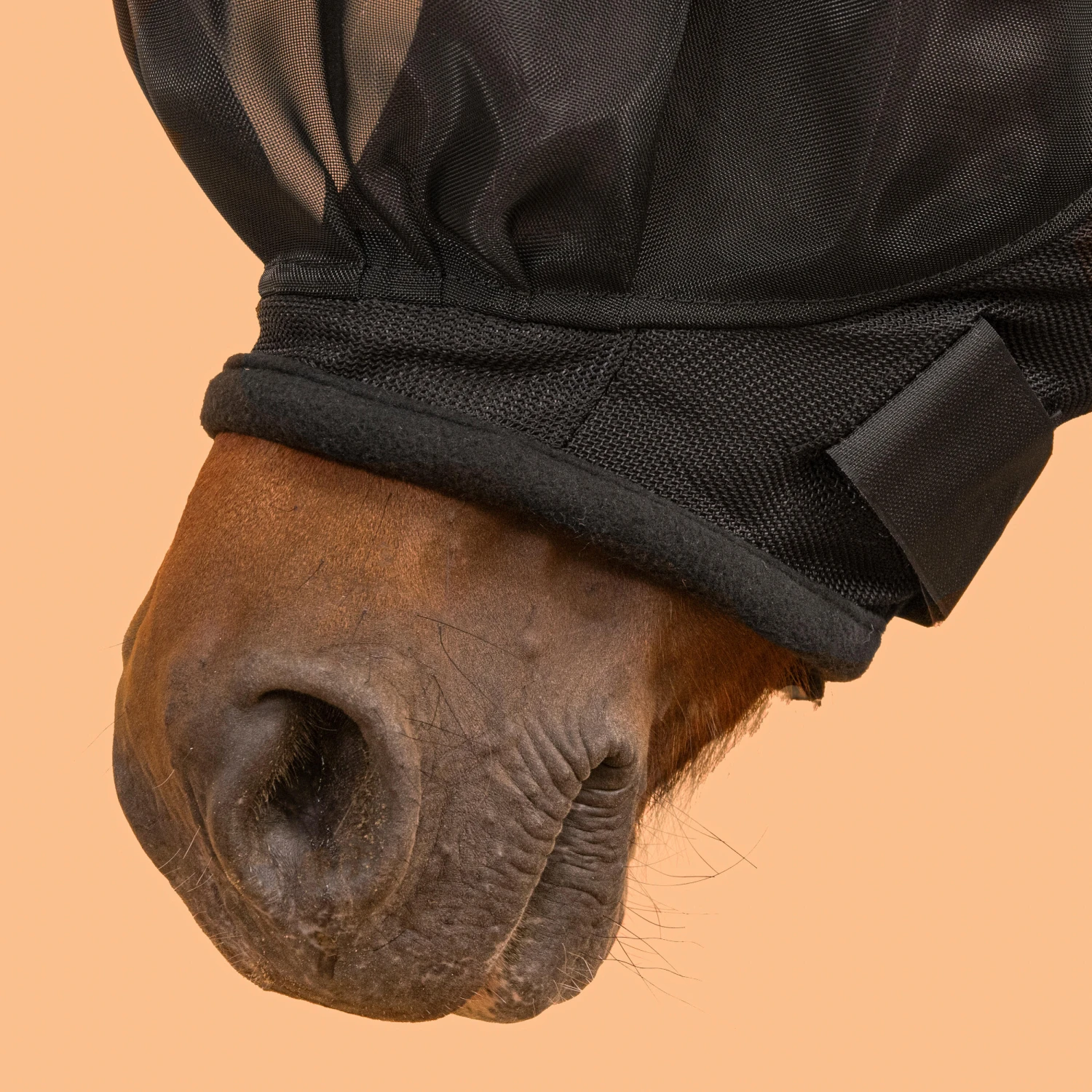 Horse Riding Fly Mask For Horse 500 - Image 7