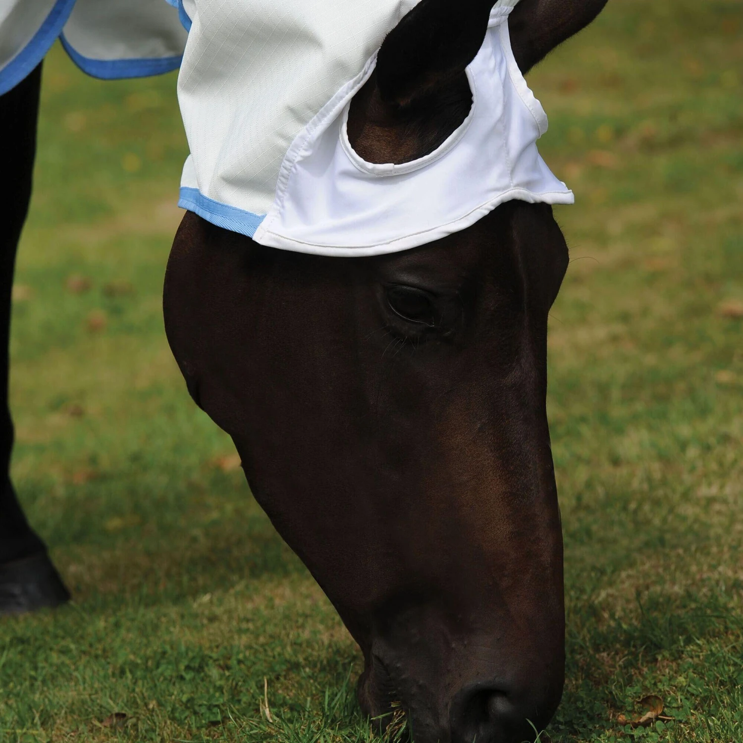 Weatherbeeta Comfitec Sweet Itch Shield Combo Neck Horse Turnout Rug (White/Blue) - Image 3