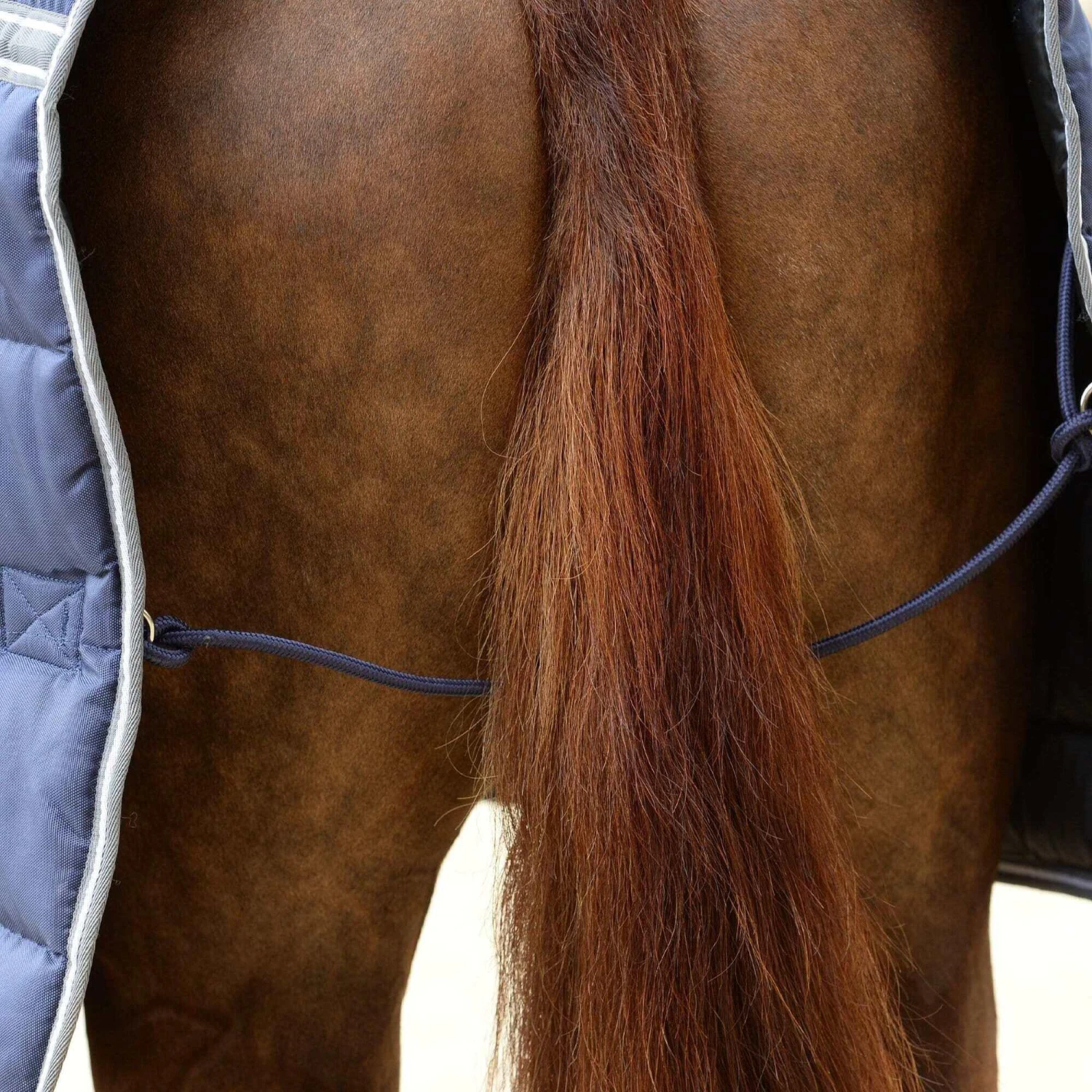 Weatherbeeta Comfitec PP II Combo Neck Channel Quilt Heavyweight Horse Turnout Rug (Dark - Image 2