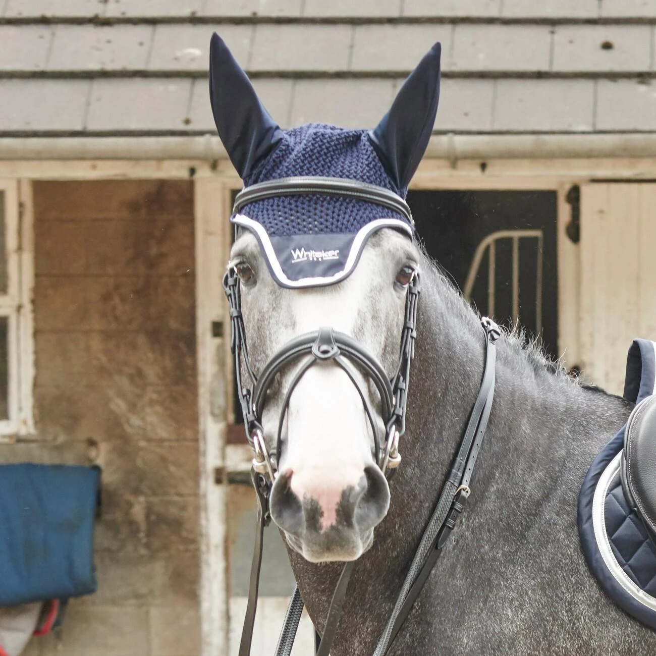 EASTWOOD CRANK BRIDLE INCLUDING REINS - Image 2