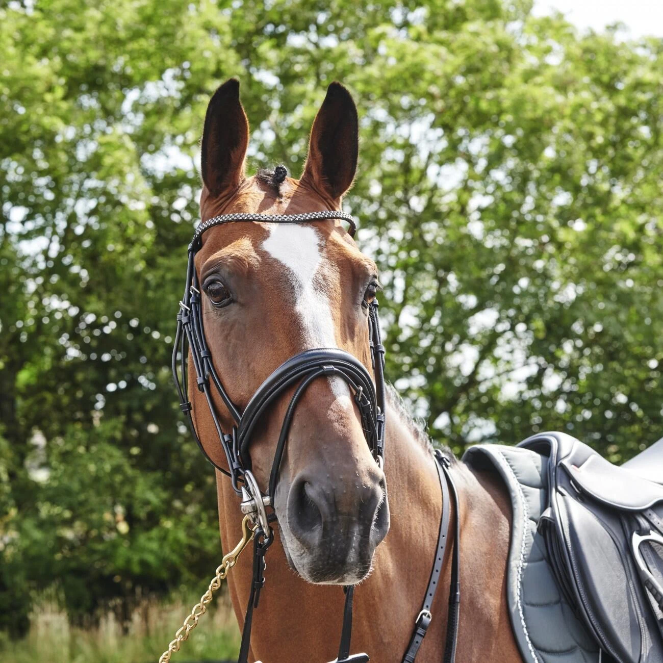 Barton Bling Flash Bridle With Rubber Reins - Image 6