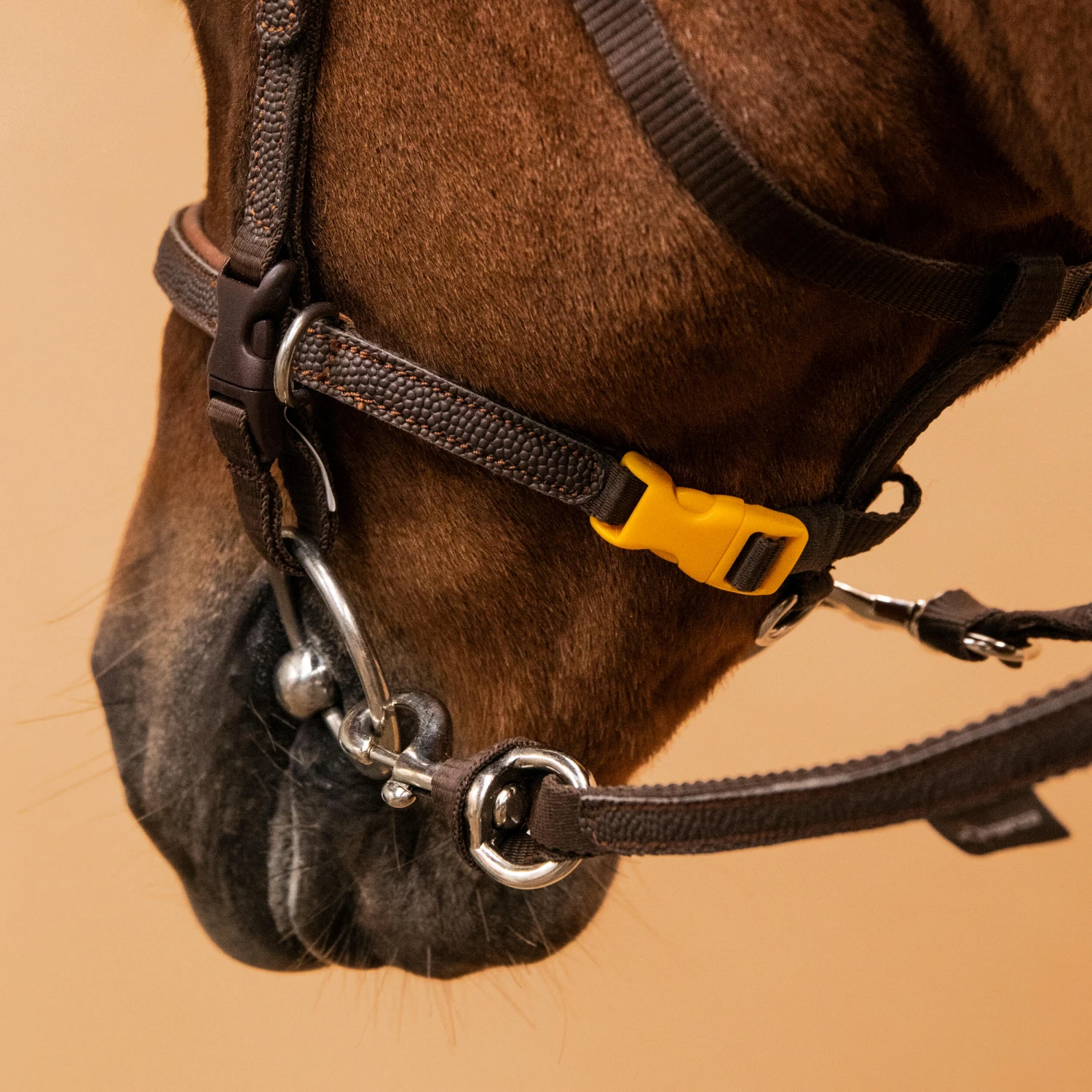 Horse Riding Synthetic Beginner Pony Bridle And Reins 100 - Image 7