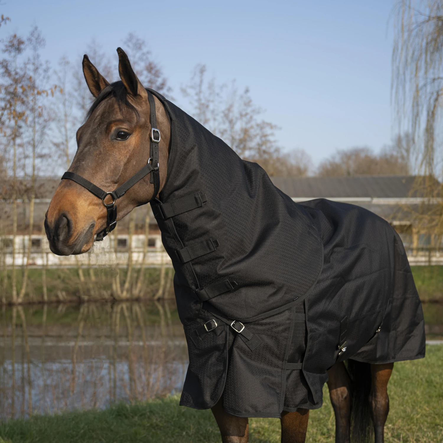 Horse Riding Waterproof Neck Cover For Horse Allweather 200 - Image 2