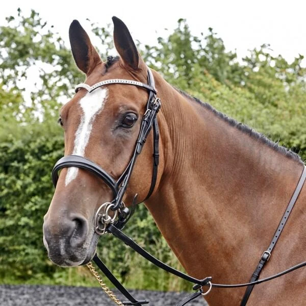 Lynton Snaffle Bridle With X2 Browbands - Image 6