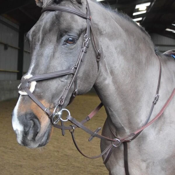 Ready To Ride Martingale