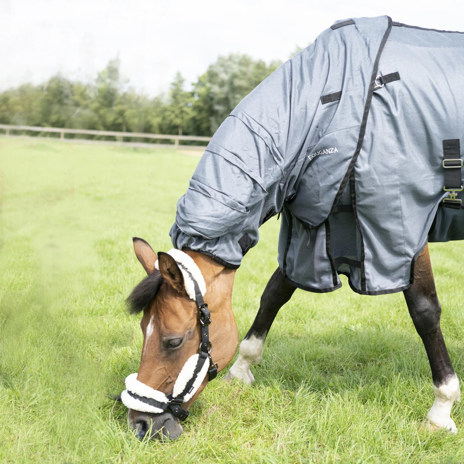 Horse Riding Fly Sheet For Horse & Pony Comfort - Image 3
