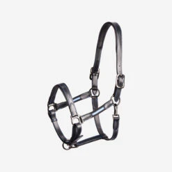 Horse And Pony Riding Leather Halter Performer
