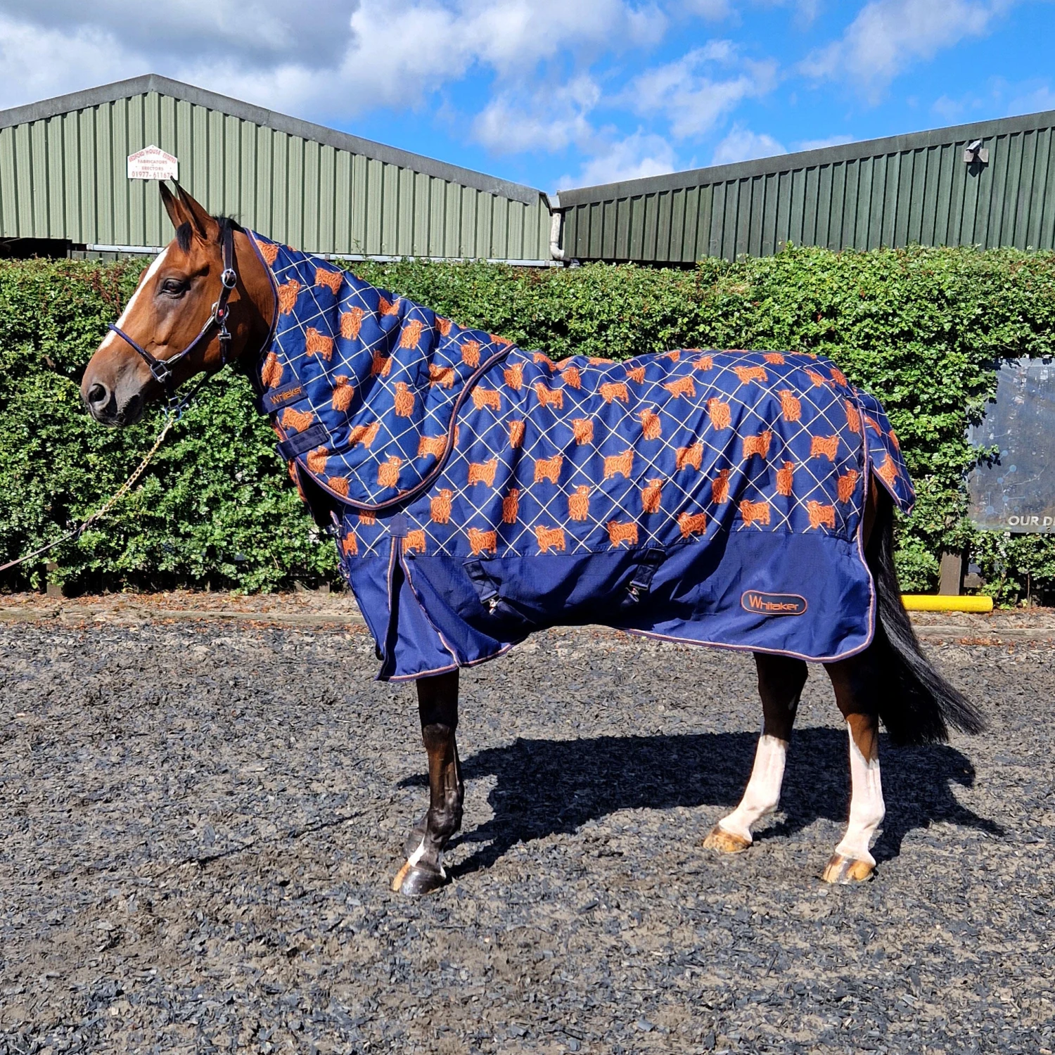 Angus 170g Medium Weight Combo Turnout