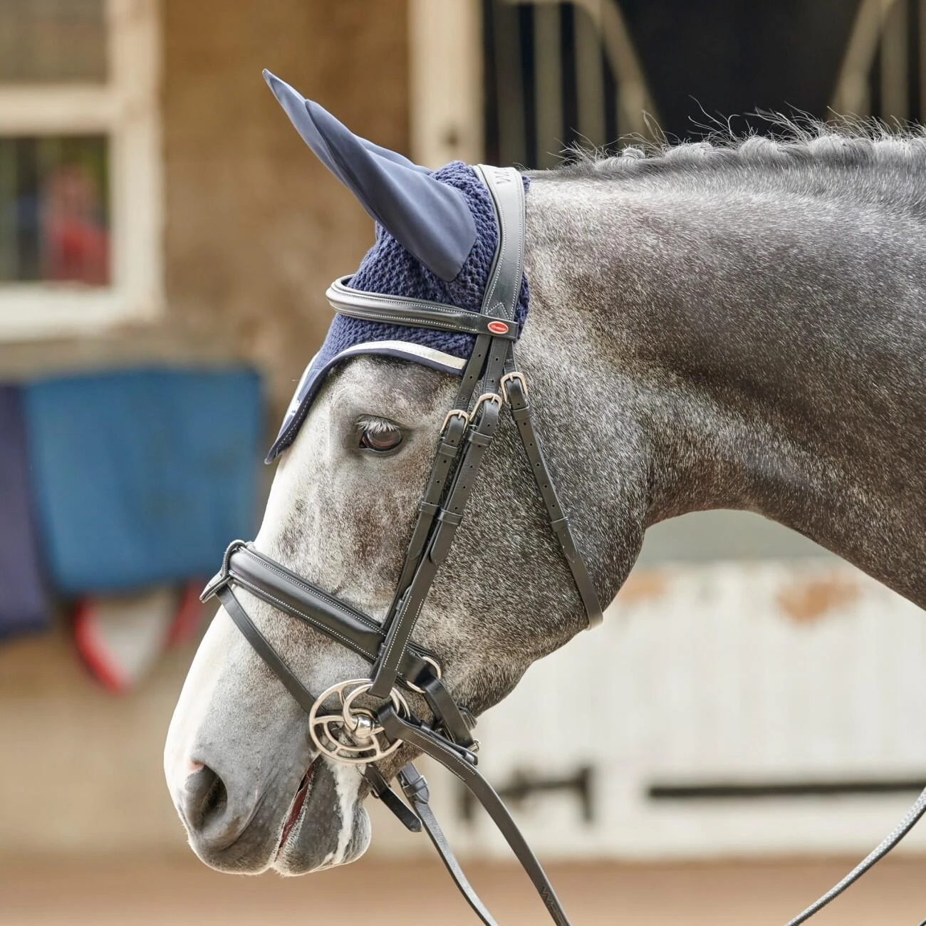 EASTWOOD CRANK BRIDLE INCLUDING REINS - Image 6