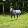 Horse Riding Fly Sheet For Horse & Pony Comfort