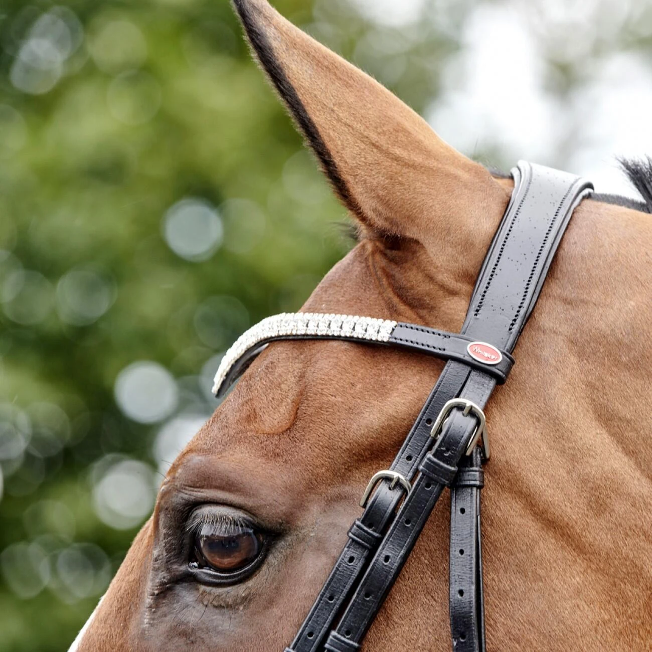 Lynton Snaffle Bridle With X2 Browbands - Image 7