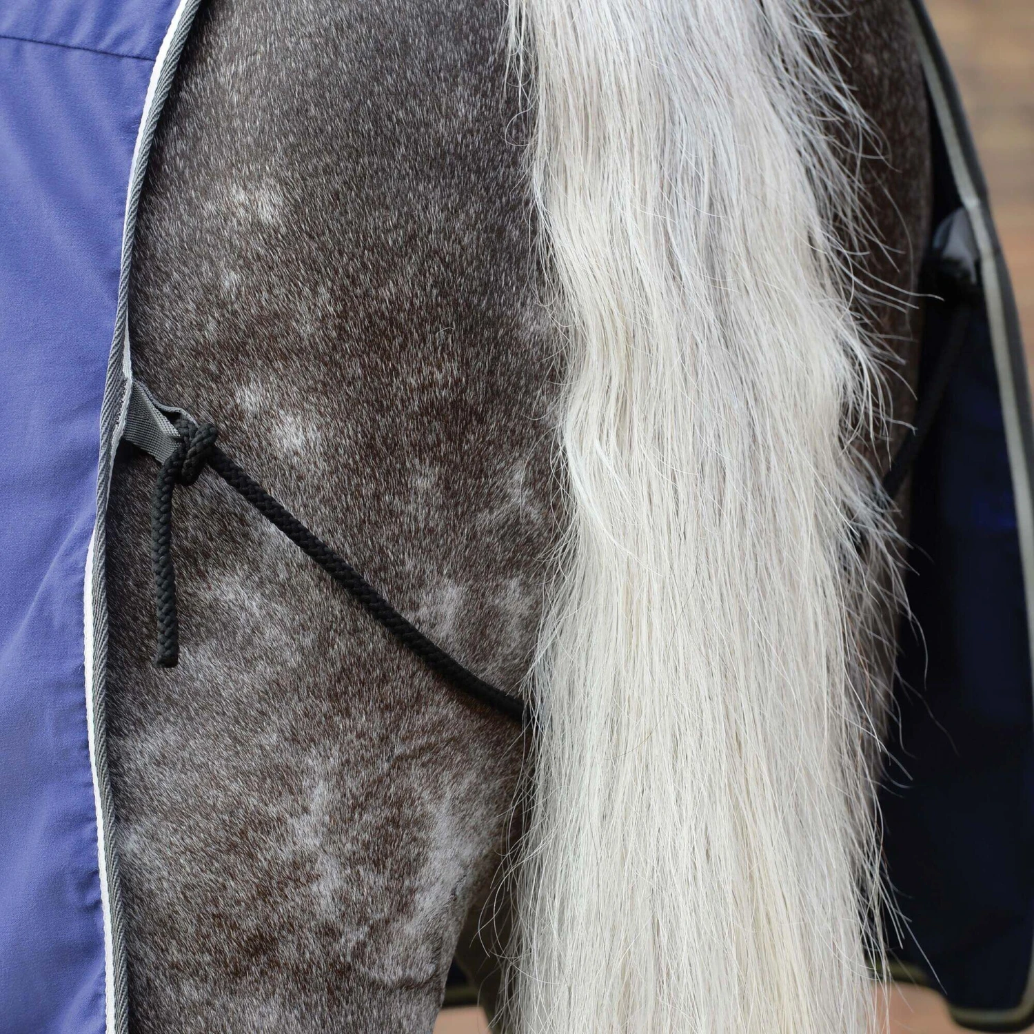 Weatherbeeta StandardNeck Cotton Horse Exercise Sheet (Dark Blue/Grey/White) - Image 4