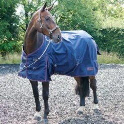 Rastrick 200G Turnout Rug