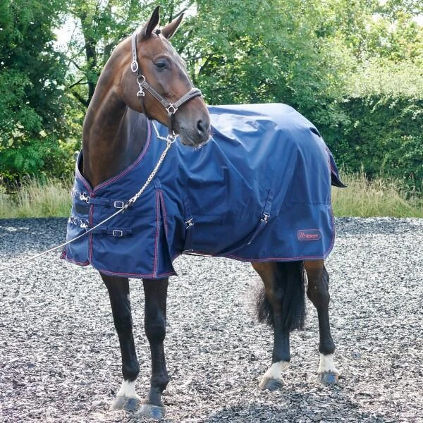 Rastrick 200G Turnout Rug