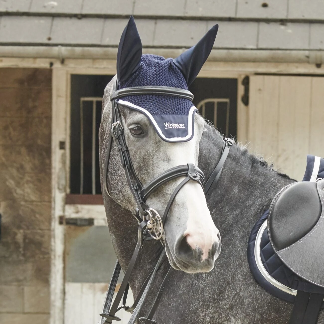 EASTWOOD CRANK BRIDLE INCLUDING REINS - Image 3