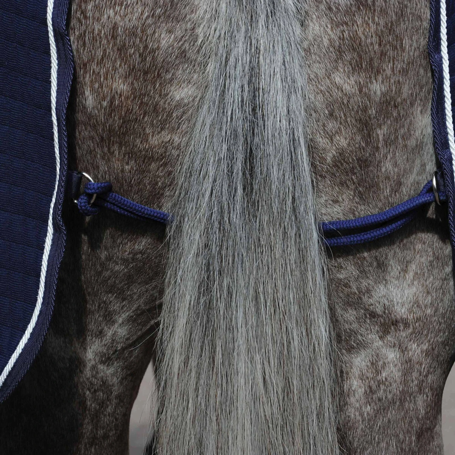 Weatherbeeta Thermocell StandardNeck Horse Cooler Rug (Navy/White) - Image 2