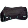 Weatherbeeta GreenTec StandardNeck Horse Stable Rug (Black/Bottle Green)