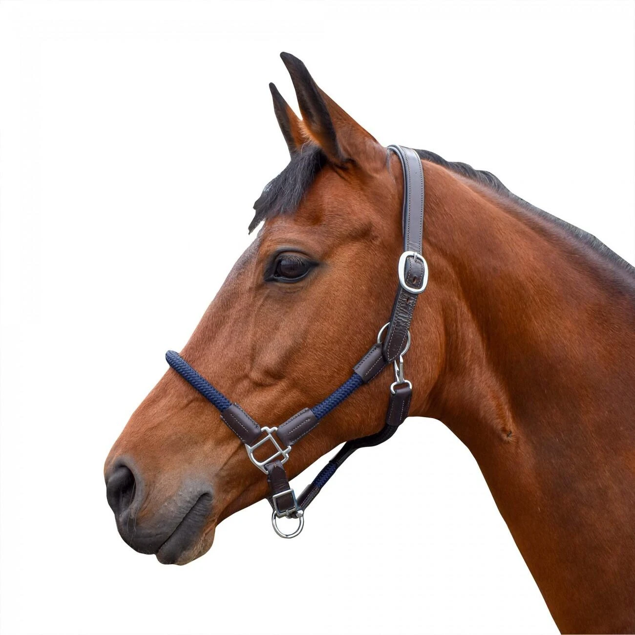 Raywell Leather And Rope Headcollar - Image 2