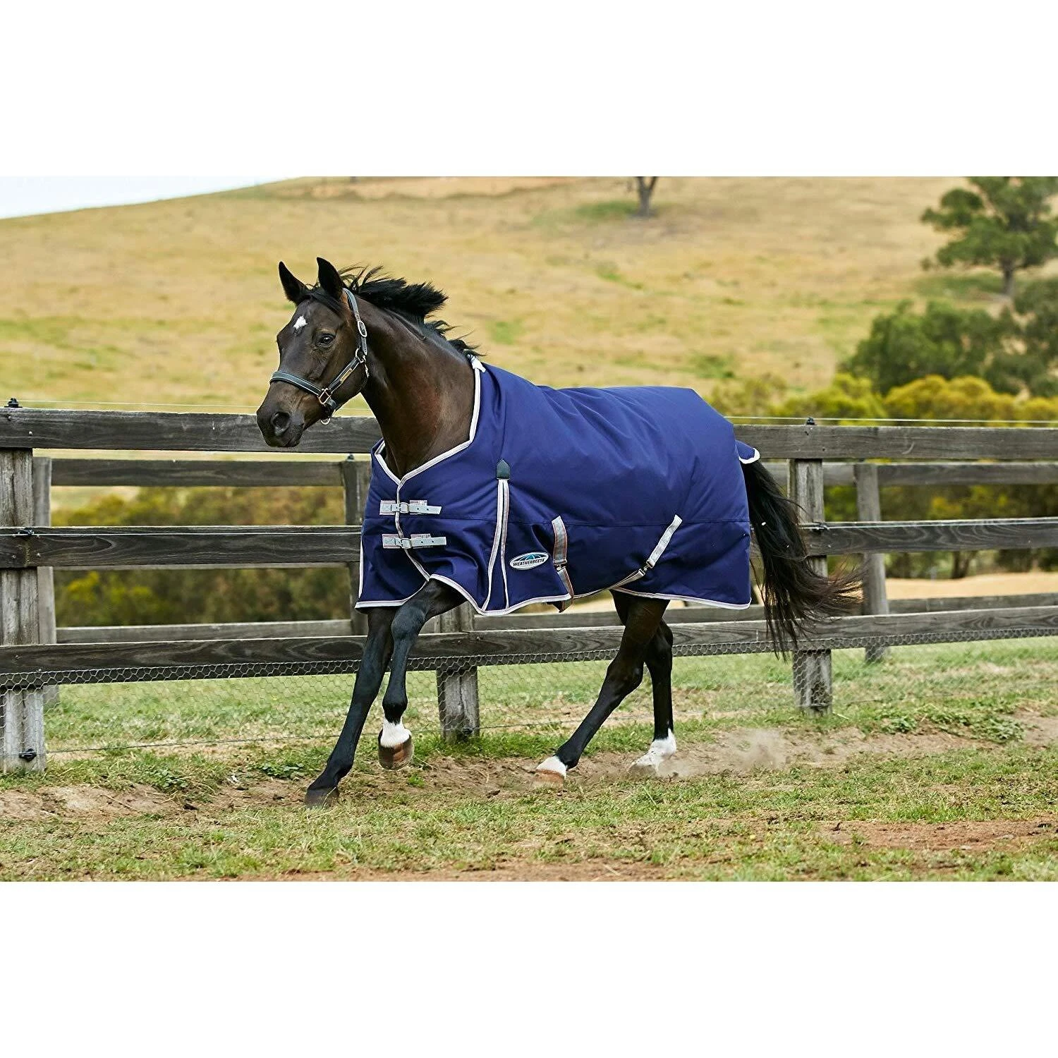 Weatherbeeta Comfitec Lite Essential Standard Neck Turnout Rug (Navy/Silver/Red) - Image 2