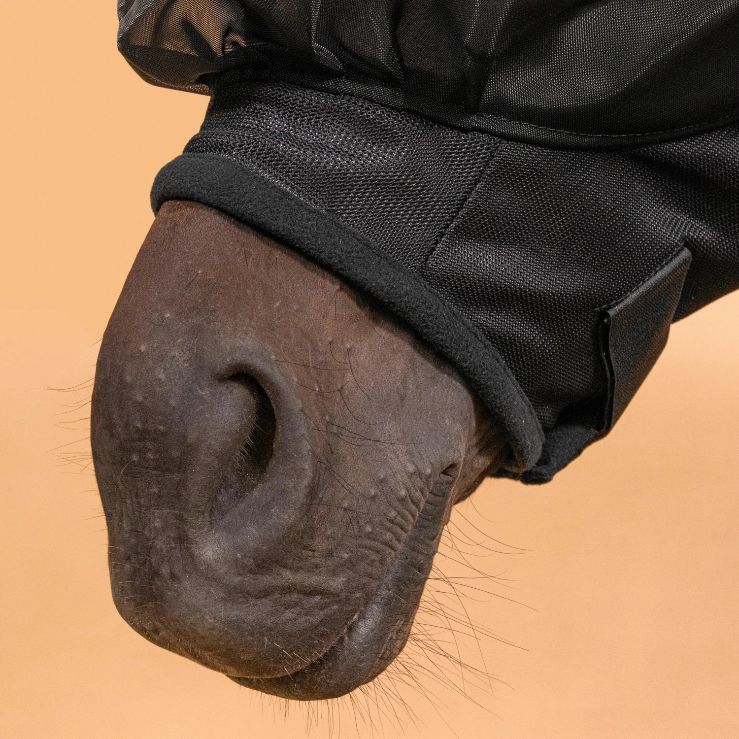 Horse Riding Fly Mask For Horse 500 - Image 4