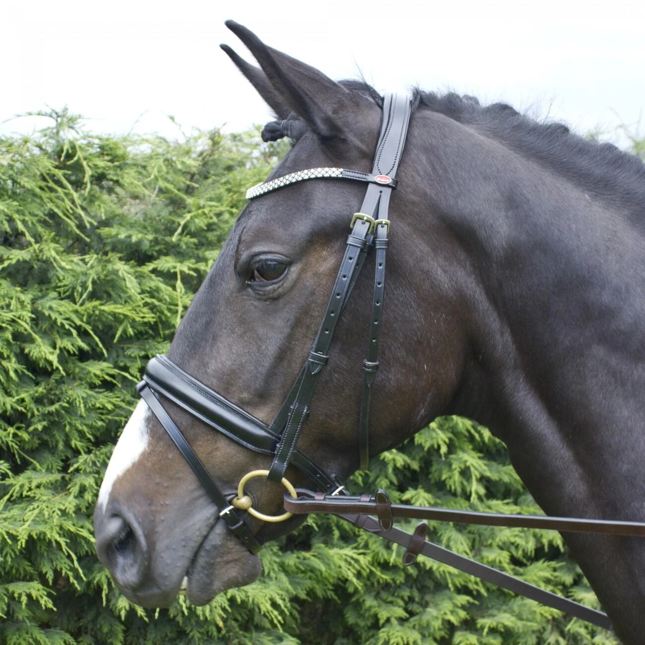 Barton Bling Flash Bridle With Rubber Reins - Image 5