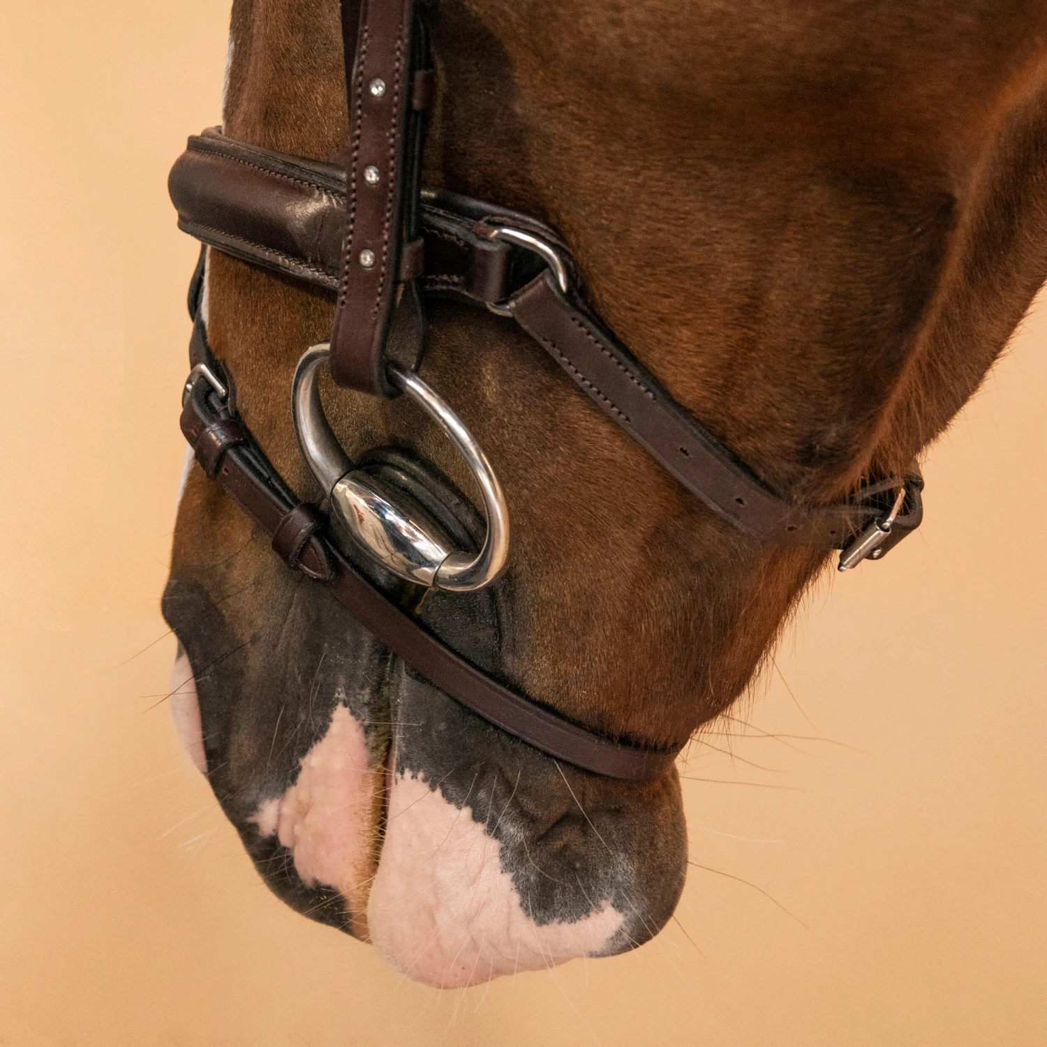 Horse Riding Leather Bridle With French Noseband 580 - Image 16