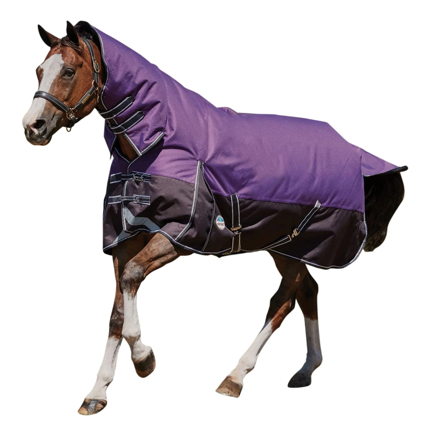 Weatherbeeta Comfitec Plus Lite Dynamic Combo Neck Turnout Rug (Purple/Black)