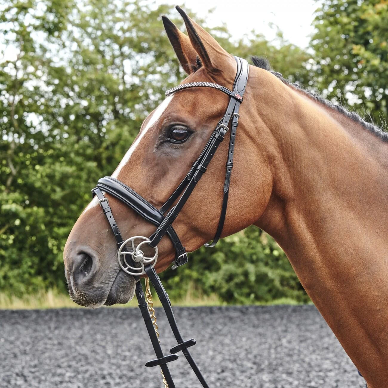 Barton Bling Flash Bridle With Rubber Reins - Image 4