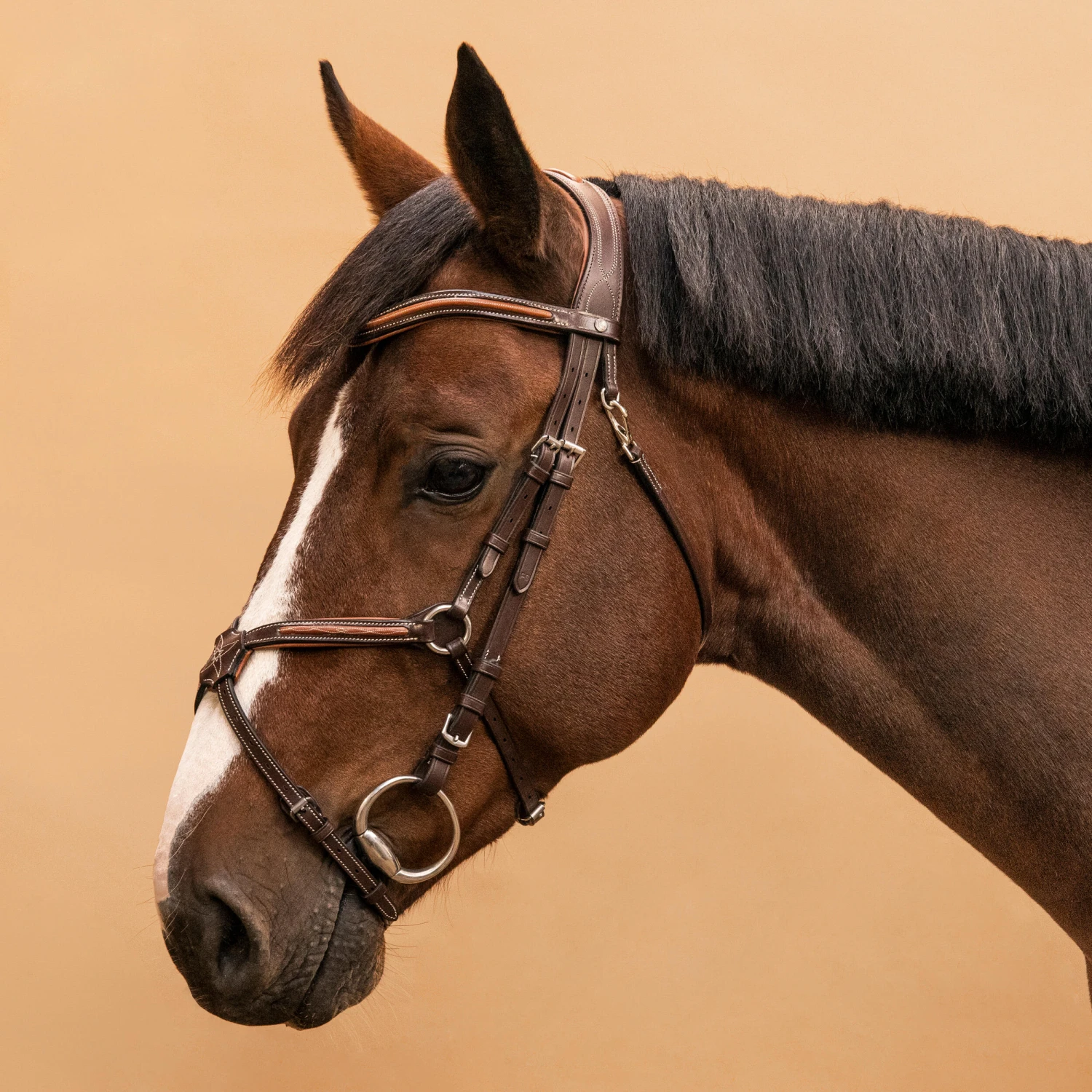 Horse Riding Crossed-Noseband Leather Bridle For Horse And Pony 580 - Image 9