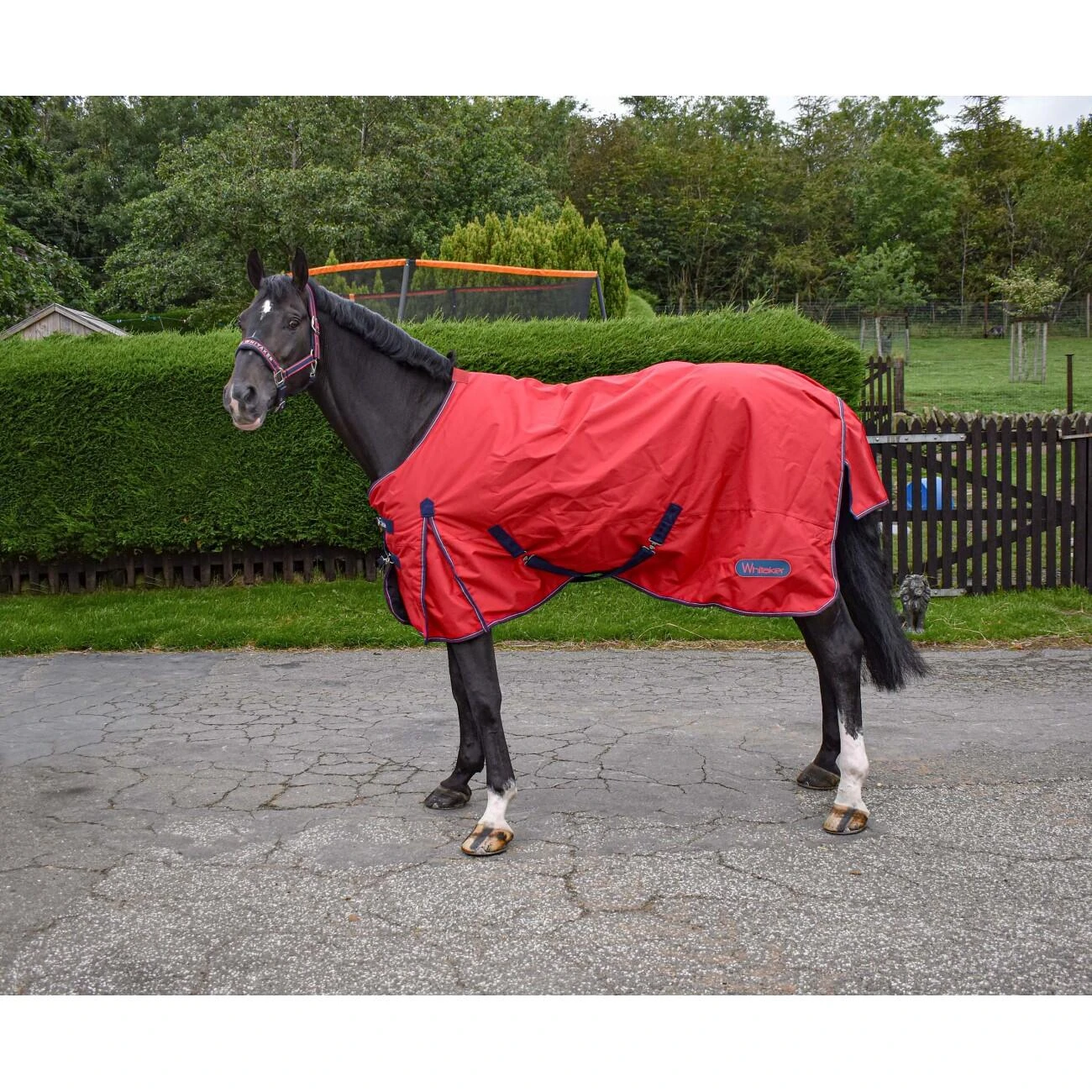 R189S Rastrick 0g Lightweight Horse Turnout Rug In Red - Image 3