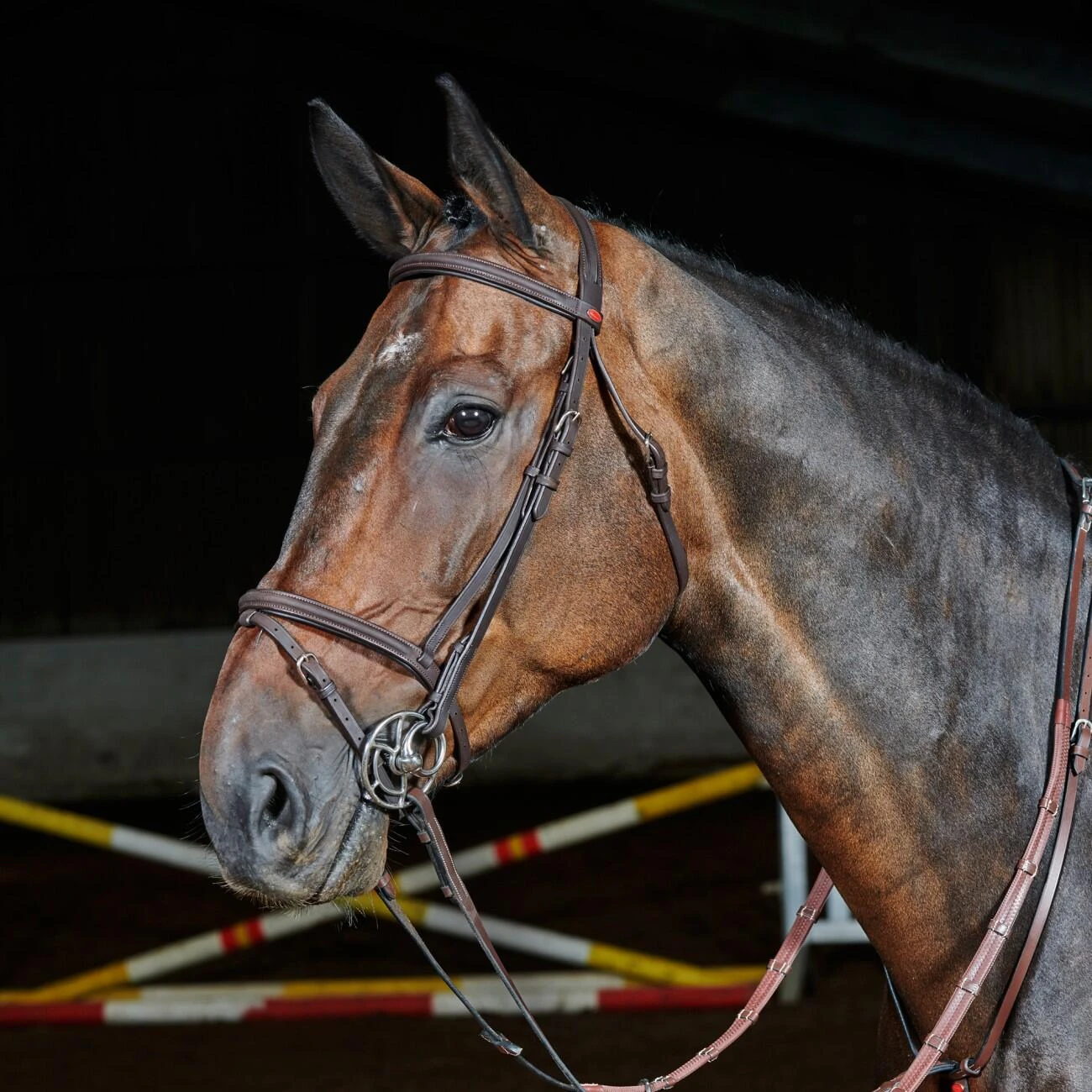 Ready To Ride Flash Bridle - Image 4