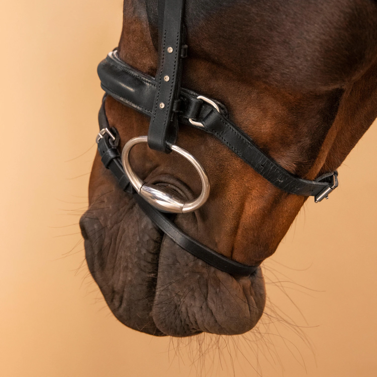 Horse Riding Leather Bridle With French Noseband 580 - Image 7