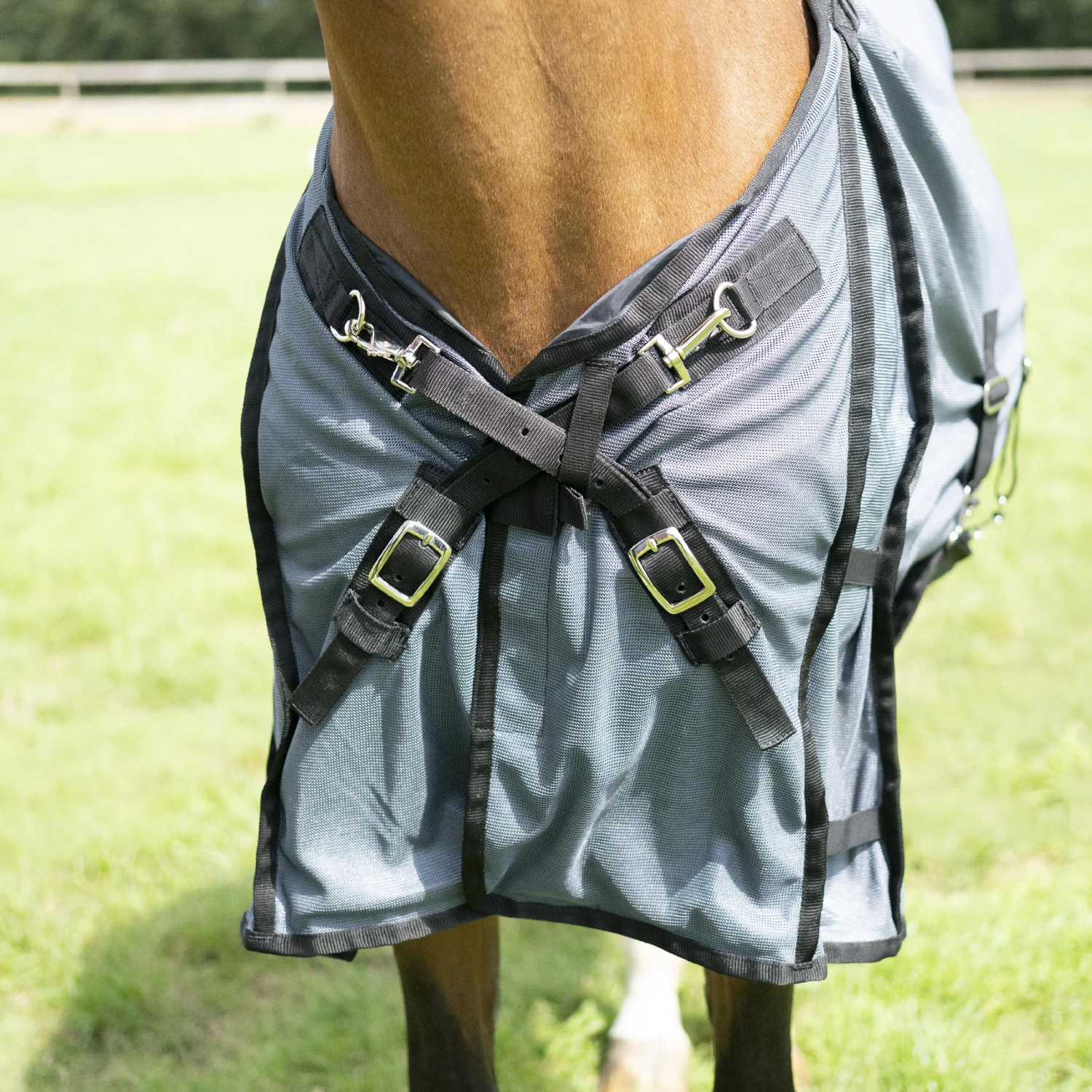 Horse Riding Fly Sheet For Horse & Pony Comfort - Image 2