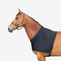 Horse Riding Shoulder Guard For Horse & Pony