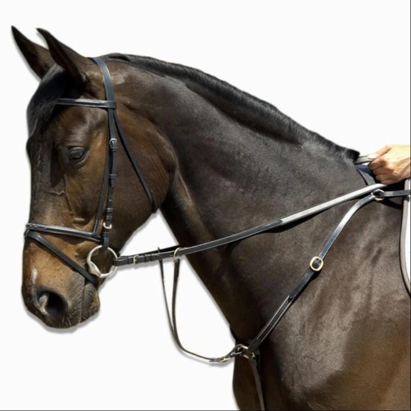 Schooling Horse Riding Hunting Martingale For Horse - Image 6