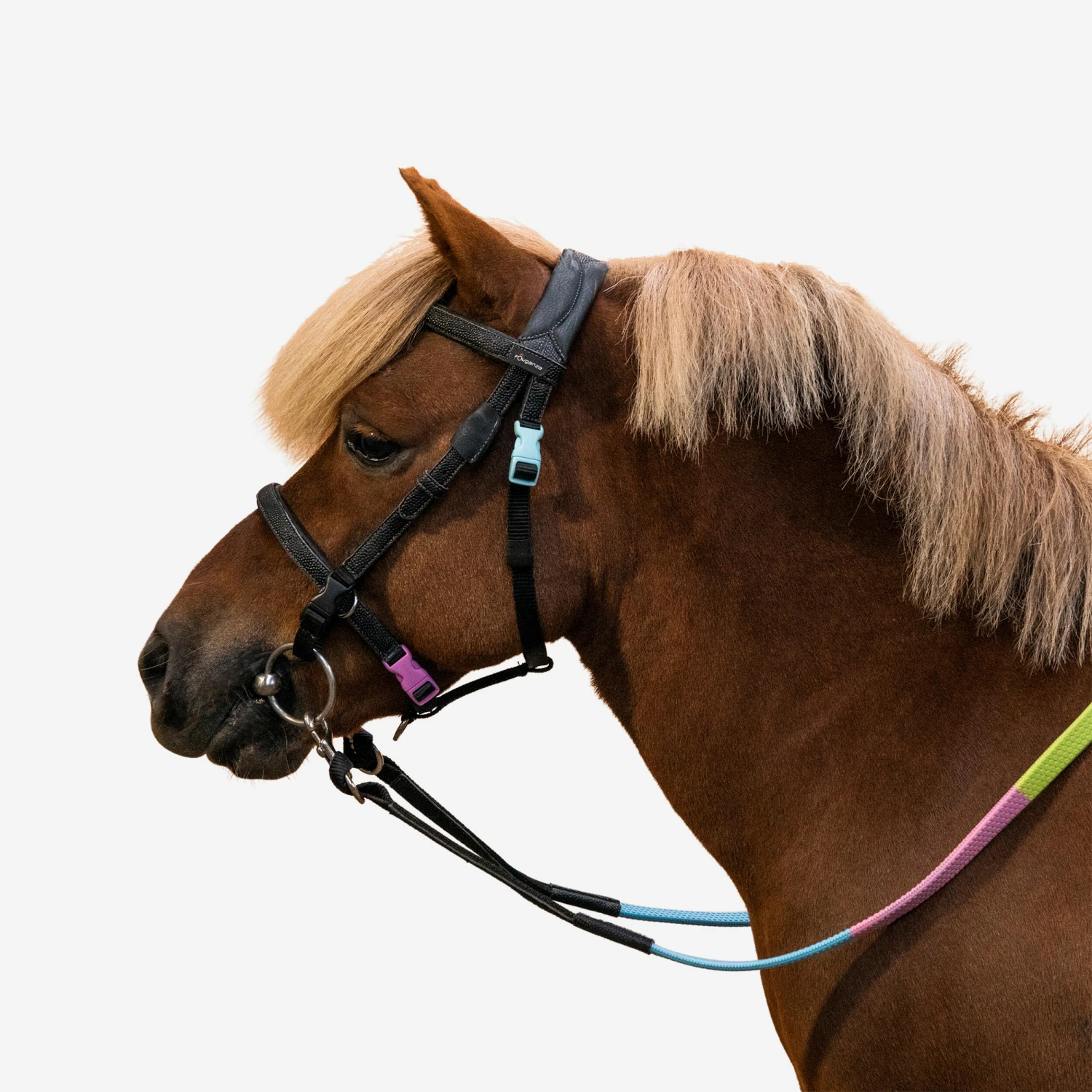 Horse Riding Synthetic Beginner Pony Bridle And Reins 100 - Image 8