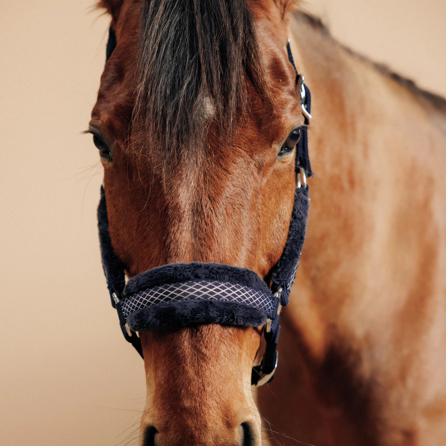 Horse Halter Comfort - Image 2