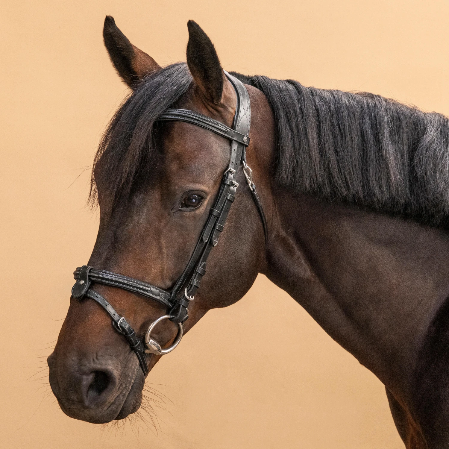 Horse & Pony Leather Bridle With French Noseband 580 - Image 2
