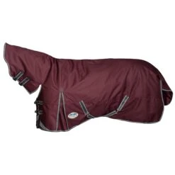 Weatherbeeta Comfitec Plus Dynamic II Combo Neck Medium Lightweight Horse Turnout Rug
