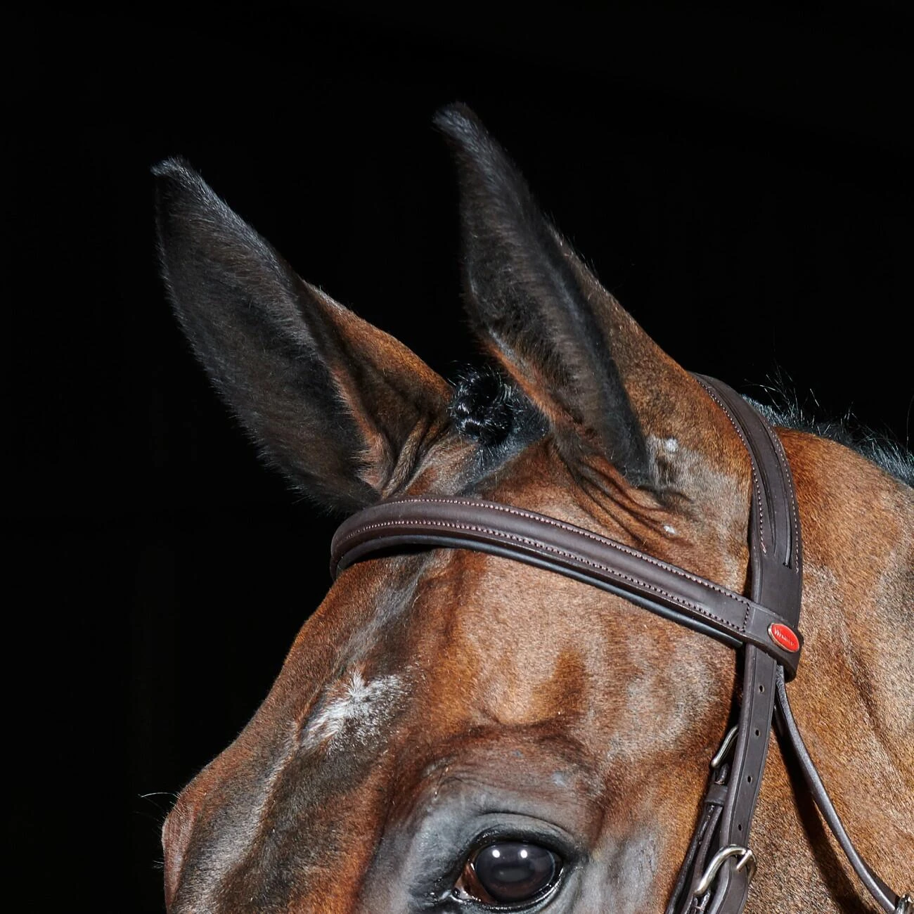 Ready To Ride Flash Bridle - Image 10