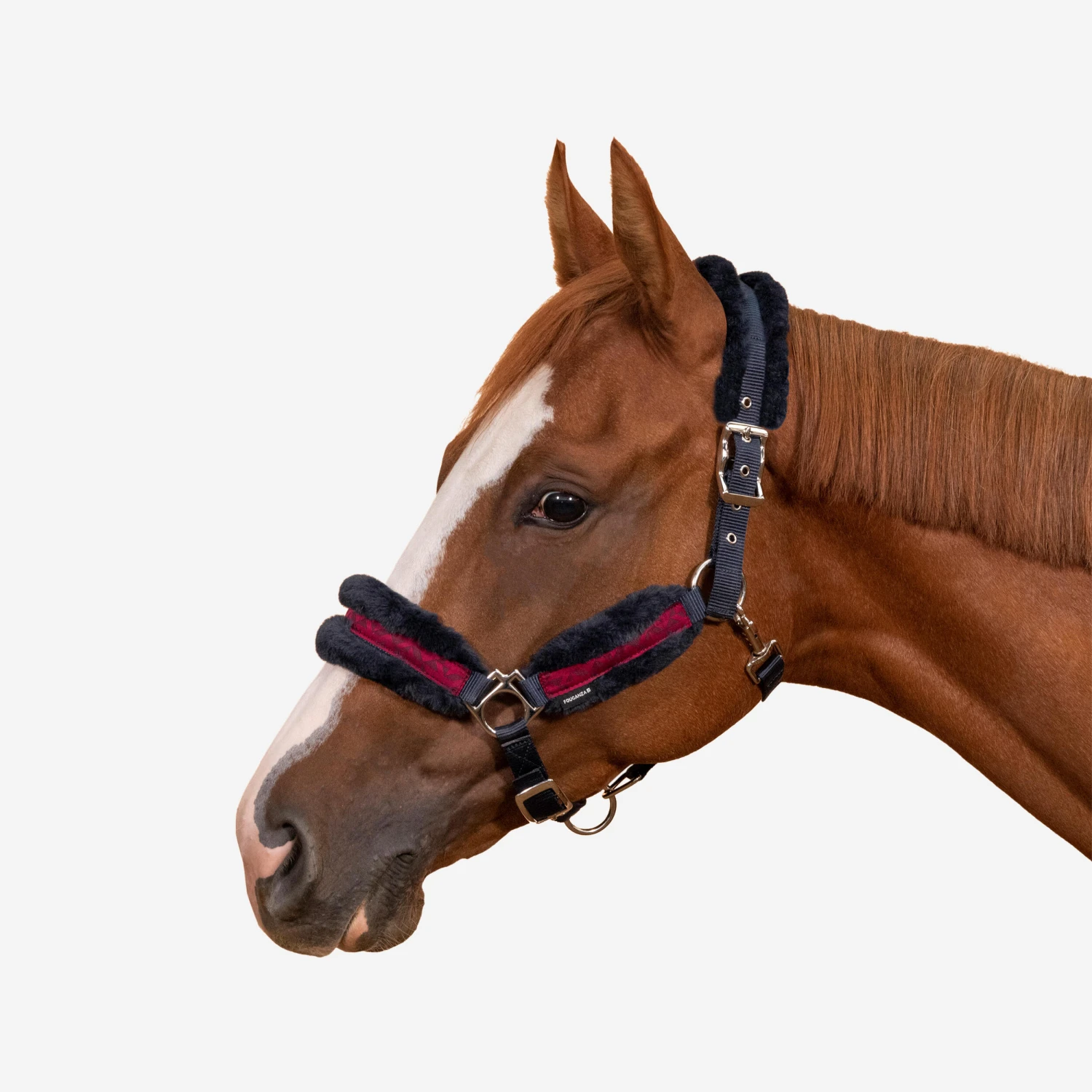Horse Halter Comfort - Image 10