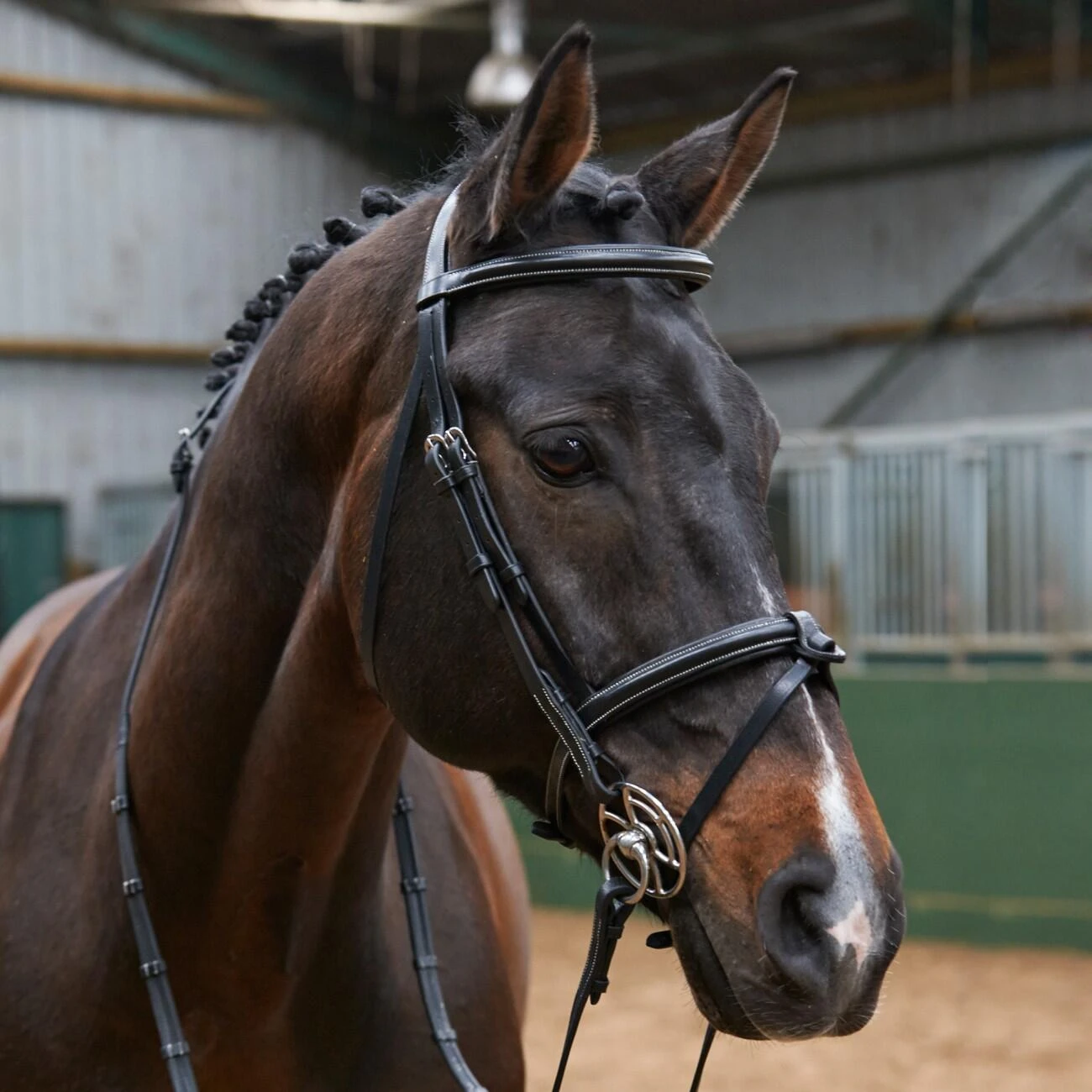 EASTWOOD RAISED FLASH BRIDLE WITH REINS - Image 2