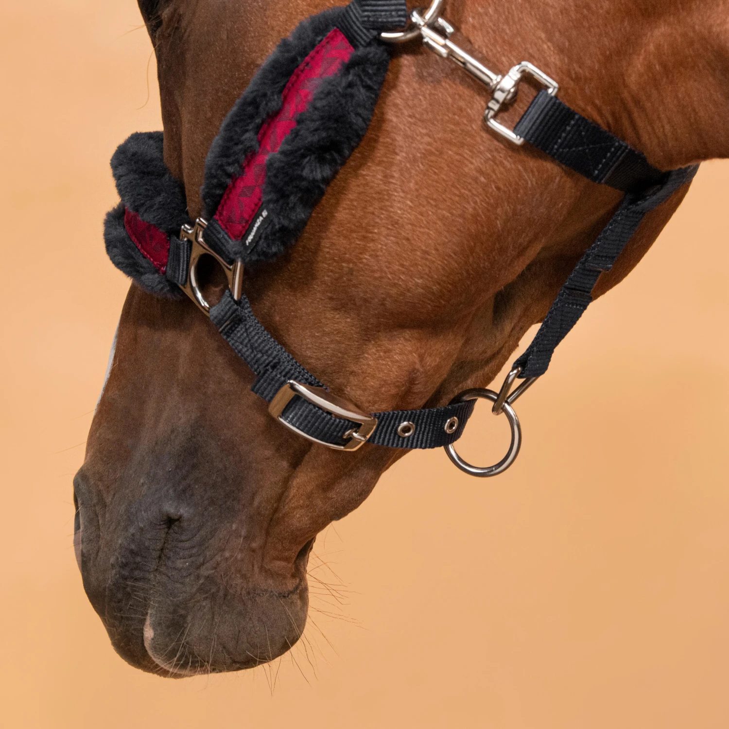 Horse Halter Comfort - Image 14