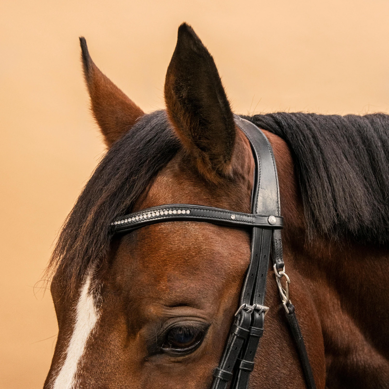 Horse Riding Crossed-Noseband Leather Bridle For Horse And Pony 580 - Image 4